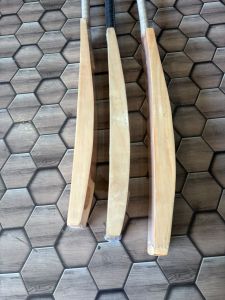 Gold PRO Kashmir Willow Bats