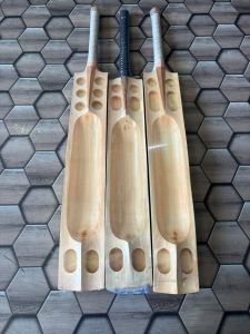 Gold PRO Max Kashmir Willow Bats