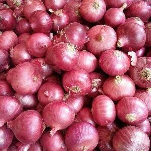 Organic Fresh Red Onion