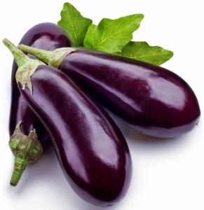Purple Fresh Brinjal