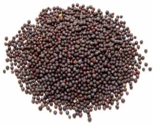 Black Mustard Seeds
