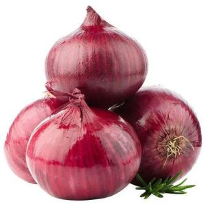 25mm Red Onion