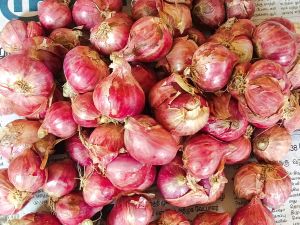 Small Red Onion