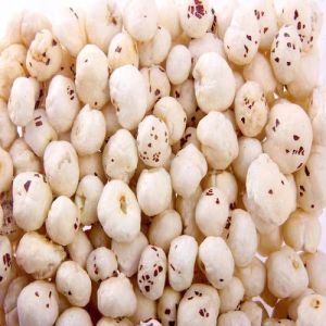 Raw Phool Makhana