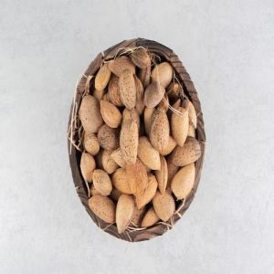 Raw Shelled Almond Kernels
