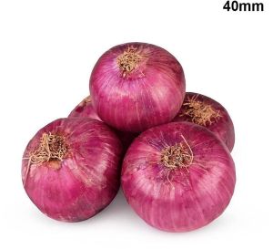 40mm Fresh Pink Onion