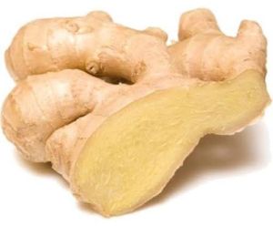 Fresh Natural Ginger