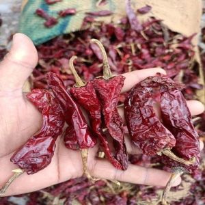 Kashmiri Dried Red Chilli