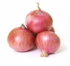 Fresh Pink Onion