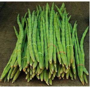 Natural Fresh Drumstick