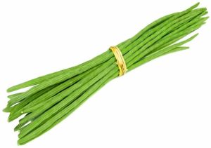 Premium Fresh Drumstick
