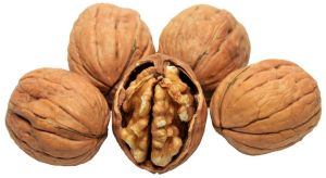 Jumbo Walnut Kernels