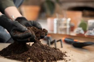 Garden Vermicompost Fertilizer