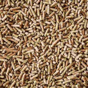 Eco-Friendly Biomass Pellet