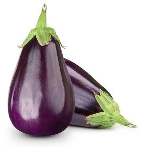 Fresh Brinjal