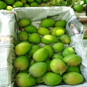 Fresh Green Mango