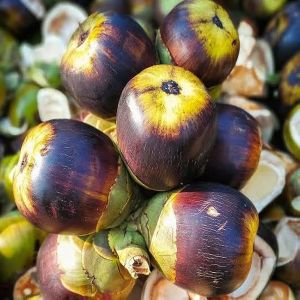 Fresh Palm Fruit