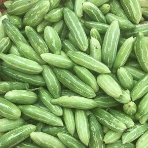 Fresh Parwal