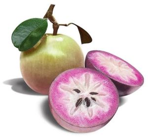 Fresh Star Apple