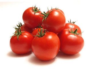 Fresh Tomato