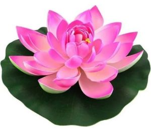Lotus Flower