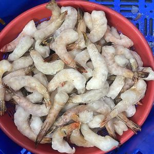 Frozen Prawns