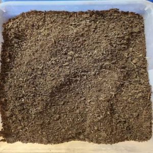 Cow Dung Manure