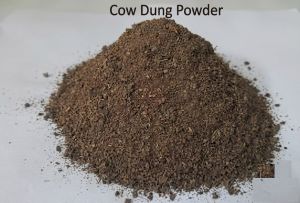 Cow Dung Powder