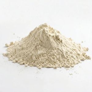 200 Mesh Off White China Clay Powder
