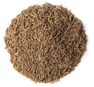 Export Quality Cumin Seeds