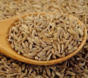 Sortex Clean Cumin Seeds