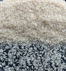 RH10 Steam Rice