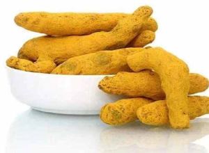 Lakadong Turmeric Finger