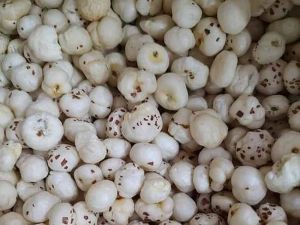 5 Suta Raw Makhana