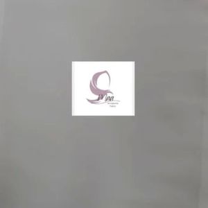 Organza Viscose Fabric
