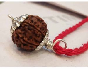 8 Mukhi Rudraksha Bead