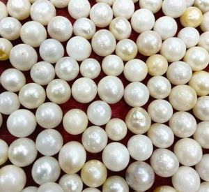 White Natural South Sea Pearl