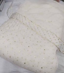 Banarasi Crush Tissue Mukesh Work Fabric