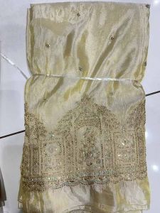 Tissue Shimmer Semi-Beats Zari Daman Embroidery Fabric