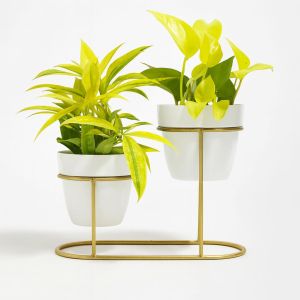 Modern Double Planter Stand