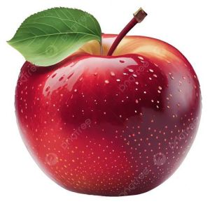 Fresh Handpicked Mcintosh Apple