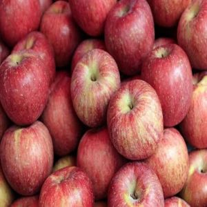 Premium Red Delicious Apple