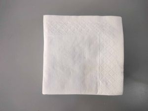 2 Ply Paper Napkin