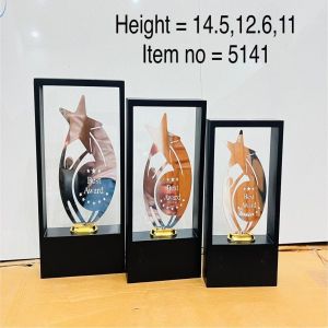 Premium Acrylic Star Frame Trophy Set