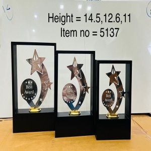 Premium Acrylic Star Trail Frame Trophy Set