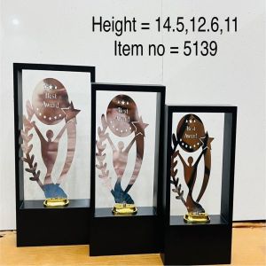 Premium Acrylic Victory Frame Trophy Set