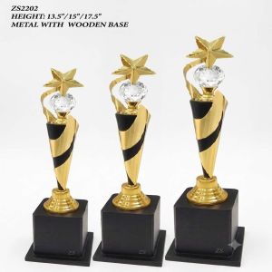 Premium Star Crystal Trophy Set With Wooden Base