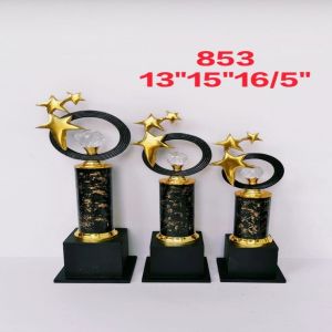 Star Design Achievement Trophy