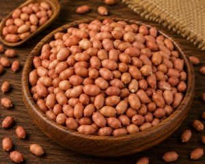 Premium Groundnut Peanuts