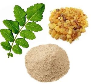 Boswellia Serrata Extract